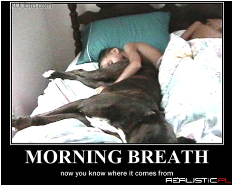 Morning breath