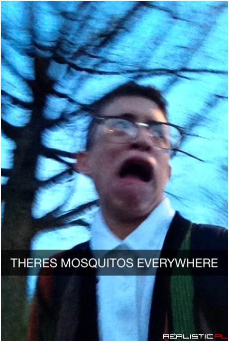Mosquitos