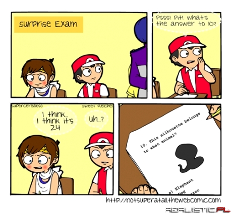 My Real Test