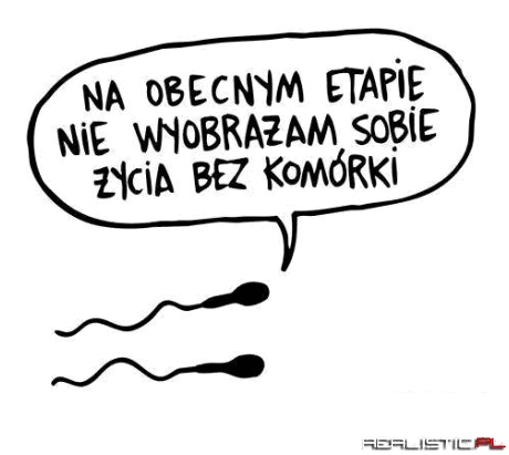Na obecnym etapie