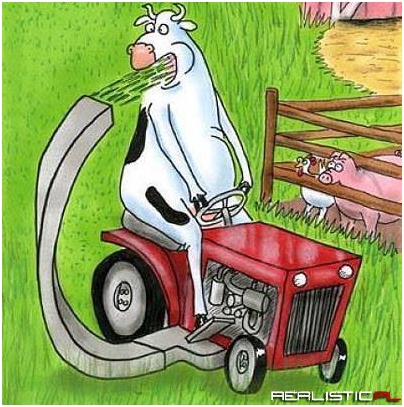 Najwyższy stopień agrotechniki