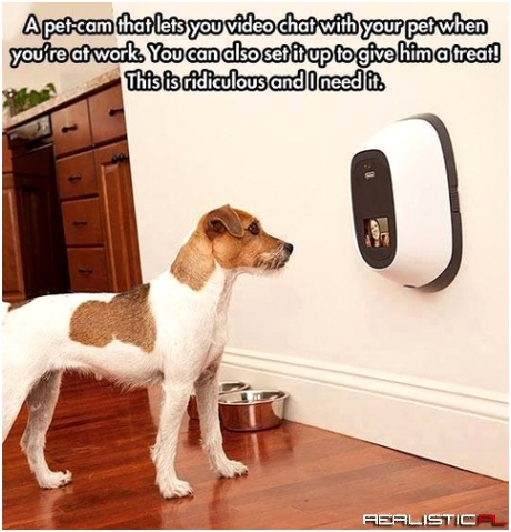 Need dis