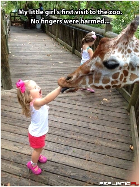Never Feed a Giraffe a Cheerio