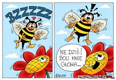 Nie dziś