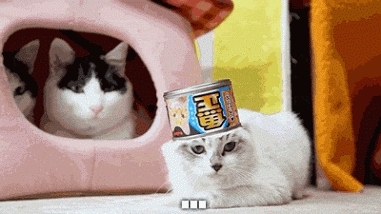 No