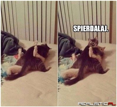 No co...