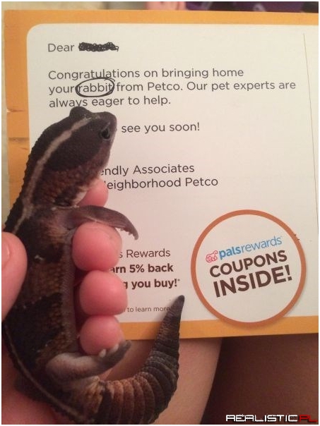 Not Even Close, Petco