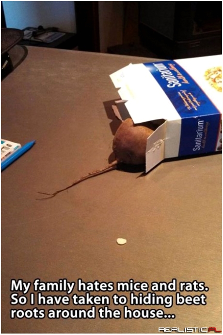 Now We Hate Beets Too