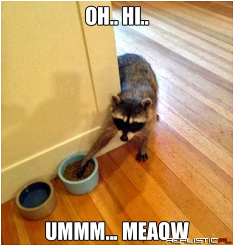 Oh..hi