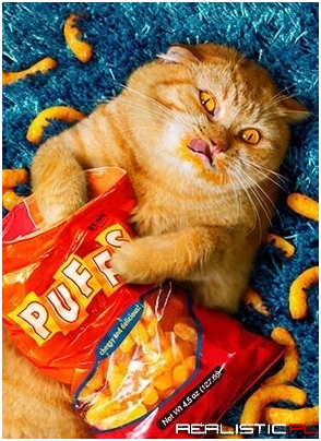 omomomnom