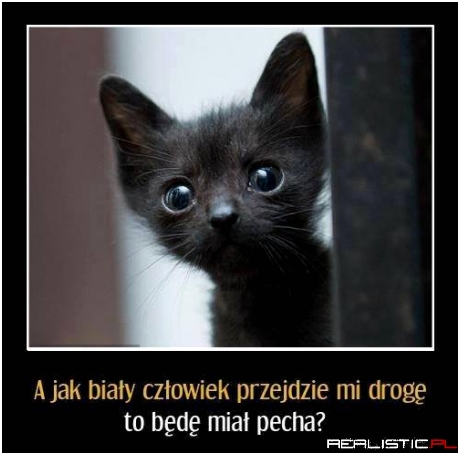 Pech