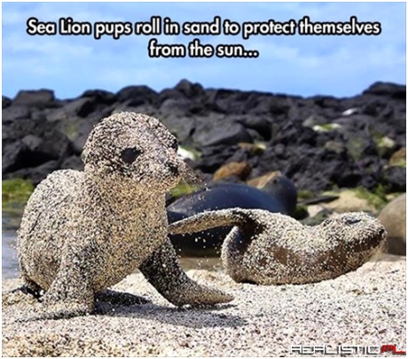 Playing in the Sand is Serious