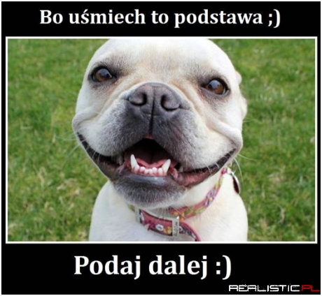 Podaj dalej