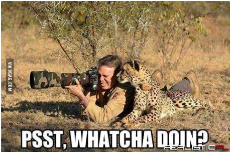 Psst