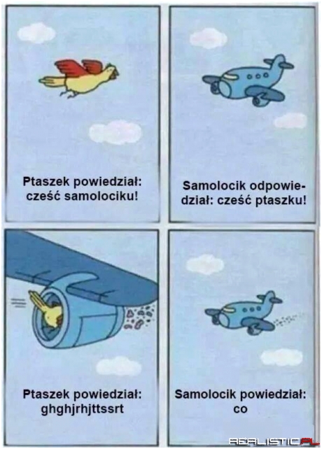 Ptaszek i samolocik