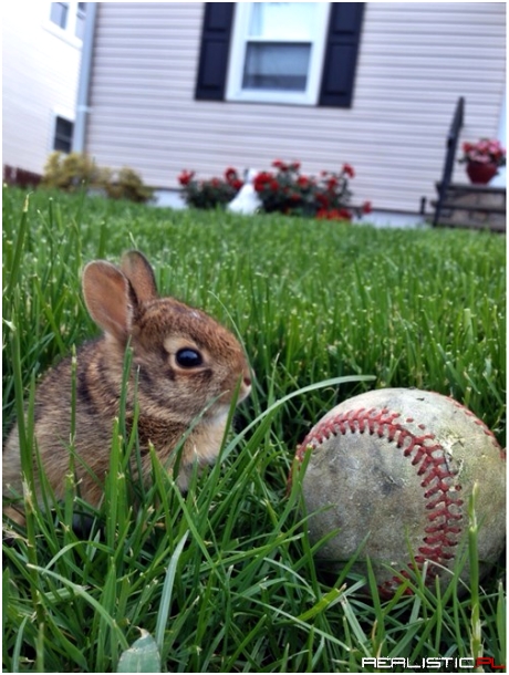 Put Me in, Coach!