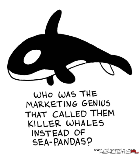 Rethinking the Brand of the Killer Whale