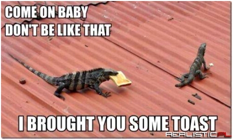 Romance isn