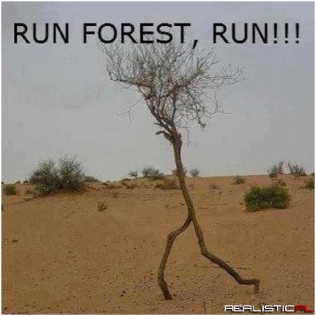 Run forest
