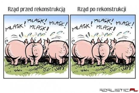 Rząd