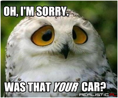 Sarcastic Owl Doesn't Care