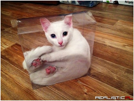 Schrodinger