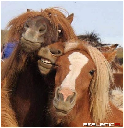 Selfie