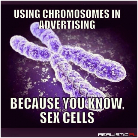 Sex cells