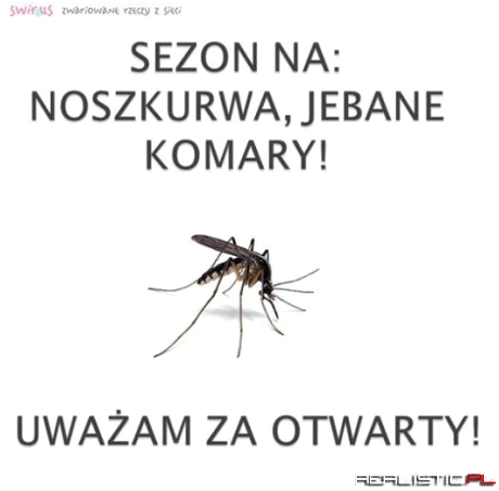 Sezon na komary