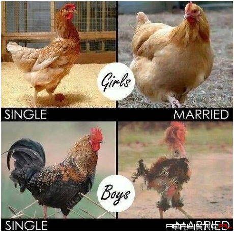 Single vs Married