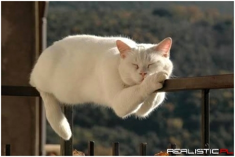 Sleeping time