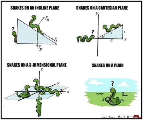 Snakes on a Plane