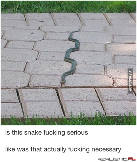 Sneak