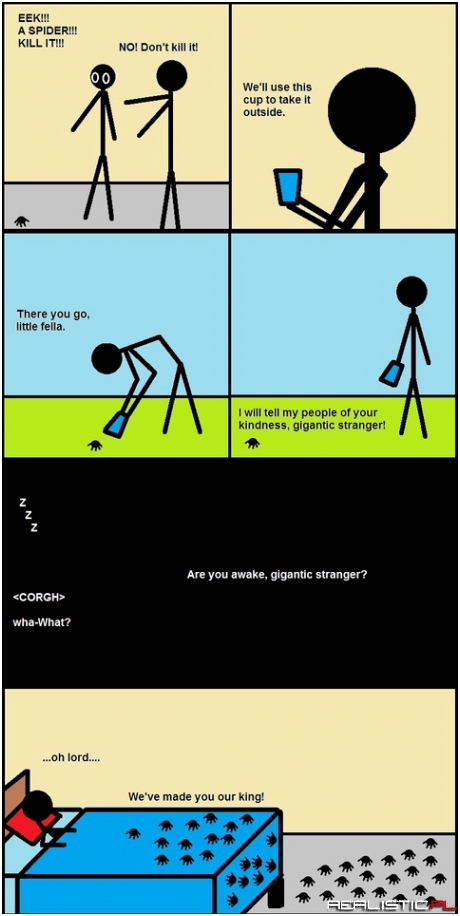 Spider