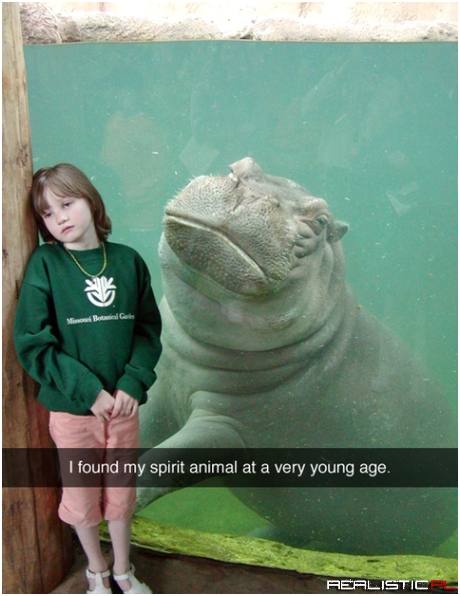 Spirit animal