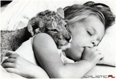 Sweet Dreams!