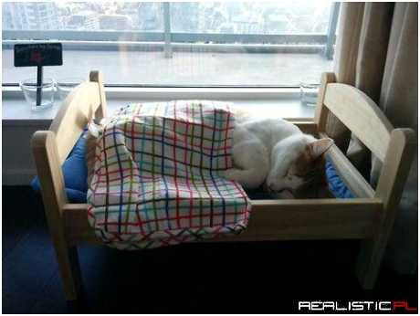 Sweet dreams