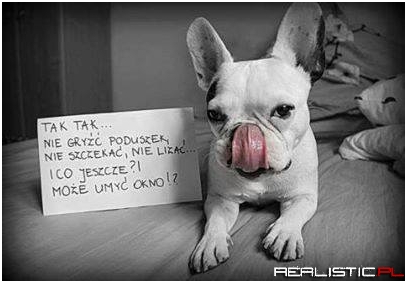Tak tak ....