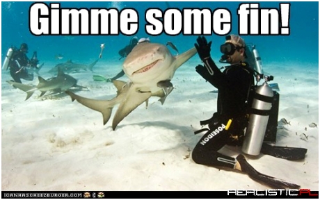 That's One Bad Shark!