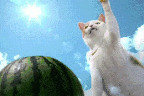 The Chosen One Can Open The Melon
