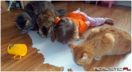 The Cleanup Crew Arrived