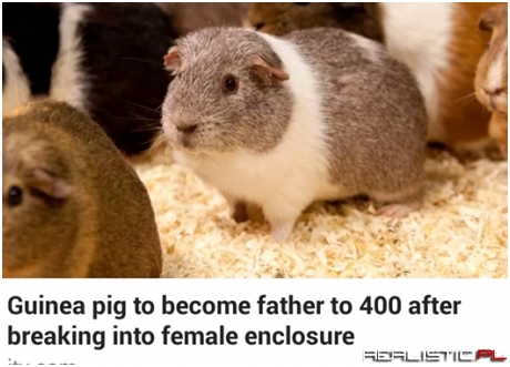The face of no regrets