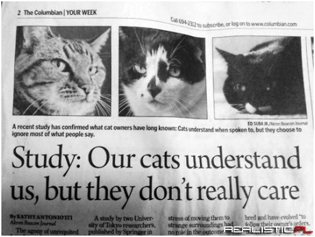 The Least Surprising Headline in Months