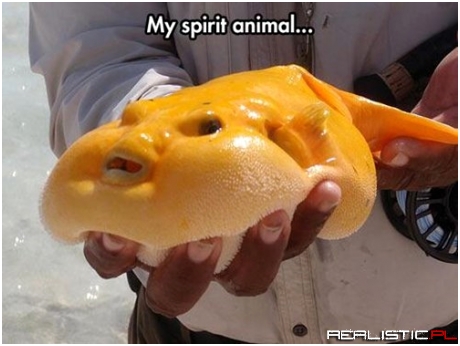 The Melted Butter Fish
