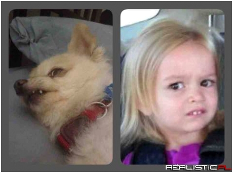 ...the resemblance is uncanny