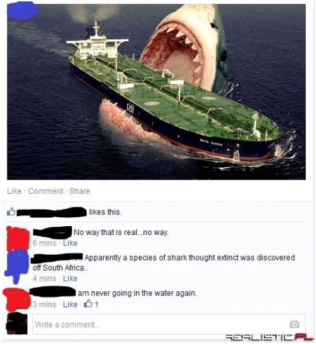 The World is Way Cooler (and More Terrifying) When You're This Stupid