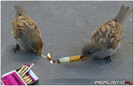 This is for friends who do stuff together