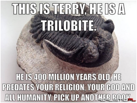 This is Terry