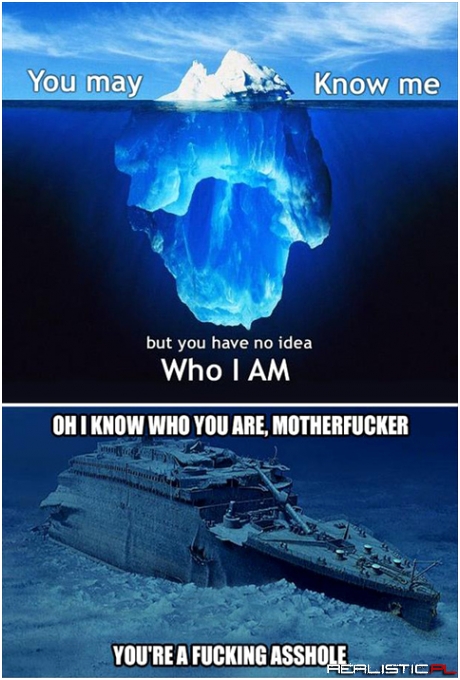 THIS IS THE BEST RESPONSE TO ONE OF THESE ICEBERG THINGIES