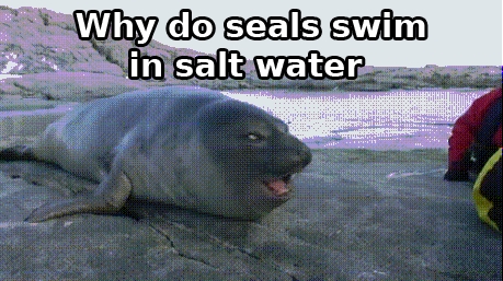 This Joke Has a Seal of Approval